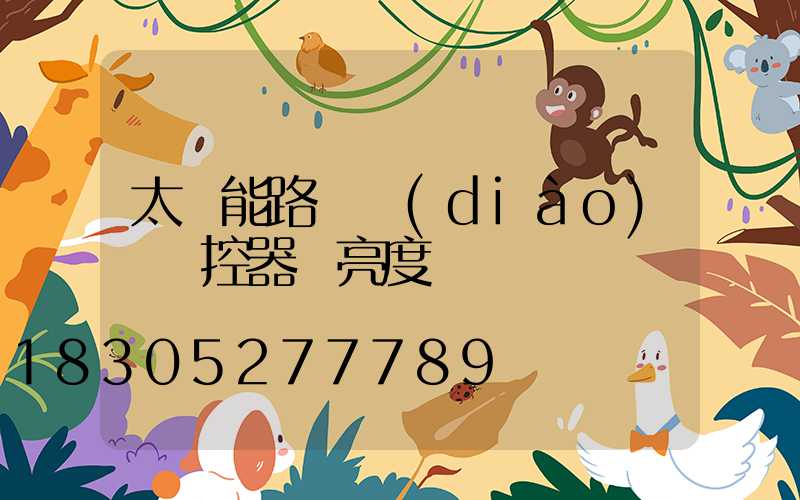 太陽能路燈調(diào)試遙控器 亮度